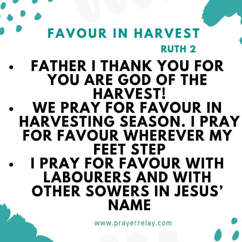 Prayer For Seed Sowing : 72 Powerful Biblical Prayer Points 7 Prayer for seed sowing